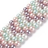 Shell Pearl Bead Strands BSHE-L017-10-1