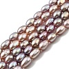 Natural Cultured Freshwater Pearl Beads Strands PEAR-I007-01P-01-2