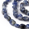 Natural Blue Spot Jasper Beads Strands G-B039-02A-3