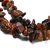 Natural Red Pietersite Beads Strands G-G905-16-4