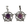 Natural Amethyst Pendants G-P517-01P-01-1