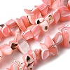 Natural Trochid Shell/Trochus Shell Beads Strands SHEL-B003-02C-1
