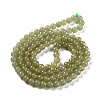 Natural Nephrite Jade Beads Strands G-NH0005-030D-3