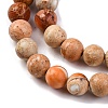 Dyed Natural Regalite/Imperial Jasper/Sea Sediment Jasper Beads Strands G-B124-C02-10-4