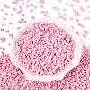 FGB Baking Paint Glass Seed Beads SEED-Q040-09A-02-2