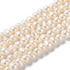 Natural Cultured Freshwater Pearl Beads Strands PEAR-E018-52-1