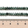 Natural Freshwater Shell Dyed Beads Strands SHEL-R100-13A-05-4