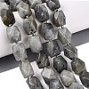 Natural Labradorite Beads Strands G-Q608-11E-1