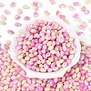 Glass Seed Beads SEED-T009-02A-1