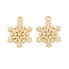Alloy Pendants FIND-B059-05G-01-1