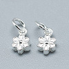 925 Sterling Silver Charms STER-T002-104S-2