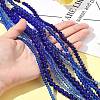 Electroplate Glass Beads Strands EGLA-FS0001-42D-10