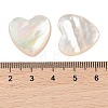 Natural White Shell Cabochons SSHEL-C012-20-3