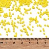 Baking Paint Glass Seed Beads X-SEED-S042-05B-81-4