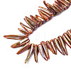 Electroplated Natural Freshwater Shell Beads SHEL-N026-197F-3