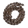Transparent Glass Beads Strands LS-EGLA-N013-T6mm-D27-2