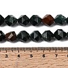 Natural Bloodstone/Heliotrope Beads Strands G-Z119-A16-03-6