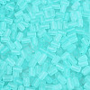 FGB Frosted Transparent Glass Seed Beads SEED-N013-05A-10-3