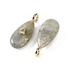 Natural Labradorite  Pendants GG-CBA6382-05B-2