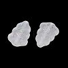 Frosted Transparent Acrylic Beads X1-OACR-P029-04B-01-3