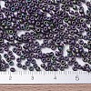 MIYUKI Round Rocailles Beads SEED-X0054-RR2019-4
