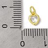 925 Sterling Silver Charms STER-M0120-02B-G-3
