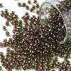 TOHO Round Seed Beads SEED-JPTR08-0250-1