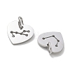 304 Stainless Steel Charms SA-CBAE491-01P-2
