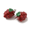 Brass Enamel Charms KK-S368-02P-01-2