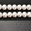 Electroplated Shell Pearl Beads Strands BSHE-C009-03B-5