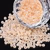 12/0 Glass Seed Beads SEED-US0003-2mm-147-1
