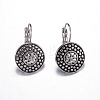 316 Surgical Stainless Steel Leverback Earrings EJEW-P085-03-1