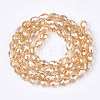 Electroplate Glass Beads Strands LS-EGLA-T013-05J-2