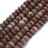 Natural Red Line Jasper Beads Strands G-Z111-A48-3