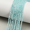 Natural Amazonite Beads Strands G-A322-A04-2mm-1