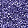 MIYUKI Delica Beads SEED-MY11-DB0250-3