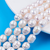 Natural Cultured Freshwater Pearl Beads Strands PEAR-N012-09B-5