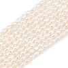Natural Cultured Freshwater Pearl Beads Strands PEAR-F020-13-2