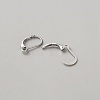 Brass Hoop Earring Findings DIY-WH0888-510P-2