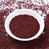 MIYUKI Delica Beads X-SEED-J020-DB2120-2