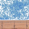 MIYUKI Delica Beads SEED-X0054-DB1318-4