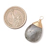 Natural Labradorite Pendants PALLOY-JF05086-02-2