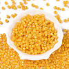 Opaque Baking Paint Glass Seed Beads SEED-T008-02E-2