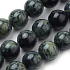 Natural Kambaba Jasper Beads Strands G-Q481-103-1