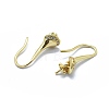 Brass Micro Pave Cubic Zirconia Earring Hooks KK-F795-05G-2