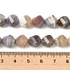 Natural Botswana Agate Beads Strands G-C267-B09-5