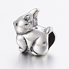304 Stainless Steel Puppy Beads STAS-H440-155AS-2