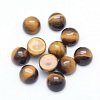 Natural Tiger Eye Cabochons G-P393-R25-6mm-1