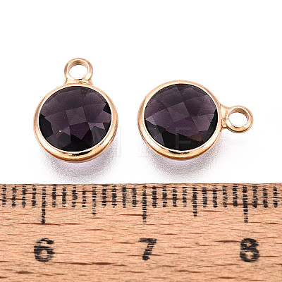 Golden Tone Brass Glass Charms GLAA-ZX008-24A-G-1
