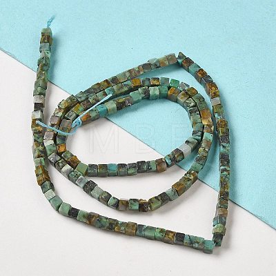 Natural African Turquoise(Jasper) Beads Strands G-B064-A13-1